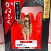 ヒメ日記 2025/12/07 18:44 投稿 恋羽みるく HYPER TOKYO