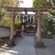 桜井 なお 稲毛神社！ La elf（ラ・エルフ）