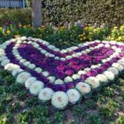 ヒメ日記 2025/12/31 21:43 投稿 桜井 なお La elf（ラ・エルフ）