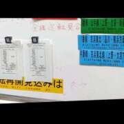 ヒメ日記 2026/01/16 08:43 投稿 桜井 なお La elf（ラ・エルフ）