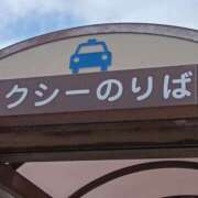 ヒメ日記 2026/01/21 12:13 投稿 桜井 なお La elf（ラ・エルフ）