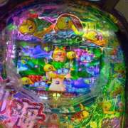 ヒメ日記 2026/02/02 20:13 投稿 桜井 なお La elf（ラ・エルフ）