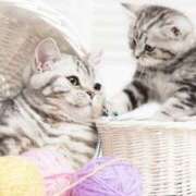 ヒメ日記 2026/02/22 10:43 投稿 桜井 なお La elf（ラ・エルフ）