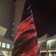 ヒメ日記 2025/12/01 13:30 投稿 みぃ 大阪はまちゃん日本橋店