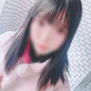 ヒメ日記 2026/01/12 16:47 投稿 みぃ 大阪はまちゃん日本橋店