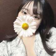 ヒメ日記 2026/01/29 19:31 投稿 りぃ 池袋ぱんぷきん（シンデレラグループ）