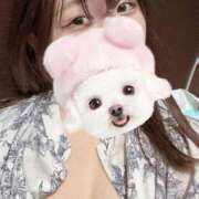 ヒメ日記 2026/03/24 13:06 投稿 りぃ 池袋ぱんぷきん（シンデレラグループ）