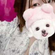 ヒメ日記 2026/03/31 18:03 投稿 りぃ 池袋ぱんぷきん（シンデレラグループ）