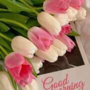 ヒメ日記 2025/12/24 09:00 投稿 りせ ロイヤル土佐