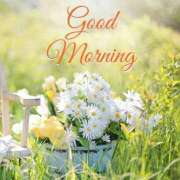 ヒメ日記 2026/03/13 11:22 投稿 りせ ロイヤル土佐