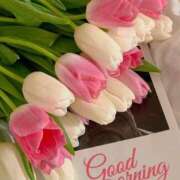 ヒメ日記 2026/03/18 12:20 投稿 りせ ロイヤル土佐