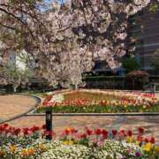 ヒメ日記 2026/03/14 10:48 投稿 真鍋(まなべ) 八王子人妻城