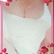 ヒメ日記 2025/11/24 16:54 投稿 まほ 埼玉本庄ちゃんこ