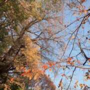 ヒメ日記 2025/12/07 16:32 投稿 咲(えみ) 麗しい人妻 新宿本店