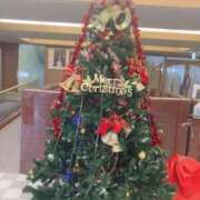 ヒメ日記 2025/12/25 12:19 投稿 咲(えみ) 麗しい人妻 新宿本店