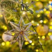 ヒメ日記 2025/12/14 22:52 投稿 新人かぐや Rips（リップス）