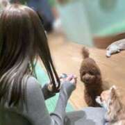 ヒメ日記 2026/01/22 22:11 投稿 ルナ Versailles