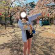 ヒメ日記 2026/04/06 20:12 投稿 ルナ Versailles