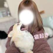 ヒメ日記 2026/04/11 22:20 投稿 ルナ Versailles