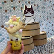 ヒメ日記 2025/12/01 16:05 投稿 うたう ハピネス＆ドリーム 松山道後温泉