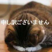 あいな 昨日と今朝🙏ごめんなさい 奥鉄オクテツ大阪