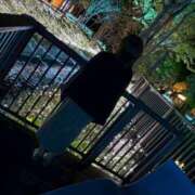 ヒメ日記 2025/12/02 11:13 投稿 体験みなこ ACCENT[アクセントグループ]