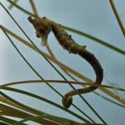 ヒメ日記 2025/12/13 17:48 投稿 とと 大宮baton