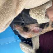 ヒメ日記 2025/12/03 18:31 投稿 りり 宇都宮 Playlist