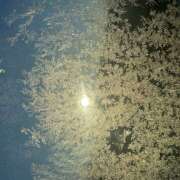 ヒメ日記 2026/01/03 17:44 投稿 りり 宇都宮 Playlist