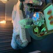 ヒメ日記 2026/04/09 21:01 投稿 りり 宇都宮 Playlist