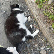 ヒメ日記 2025/12/08 16:01 投稿 ゆず ドリーム水戸