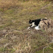 ヒメ日記 2026/01/05 16:10 投稿 ゆず ドリーム水戸