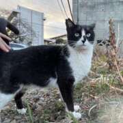 ヒメ日記 2026/02/21 17:30 投稿 ゆず ドリーム水戸