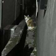 ヒメ日記 2026/03/06 10:20 投稿 ゆず ドリーム水戸