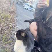 ヒメ日記 2026/03/07 15:10 投稿 ゆず ドリーム水戸