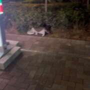 ヒメ日記 2026/03/28 16:50 投稿 ゆず ドリーム水戸