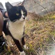 ヒメ日記 2026/04/08 11:40 投稿 ゆず ドリーム水戸