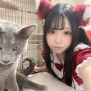 ヒメ日記 2026/04/20 12:20 投稿 ゆず ドリーム水戸