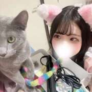 ヒメ日記 2026/04/27 13:20 投稿 ゆず ドリーム水戸