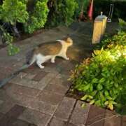 ヒメ日記 2026/06/10 21:50 投稿 ゆず ドリーム水戸