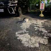 ヒメ日記 2026/06/14 21:10 投稿 ゆず ドリーム水戸