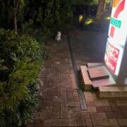 ヒメ日記 2026/06/29 23:50 投稿 ゆず ドリーム水戸