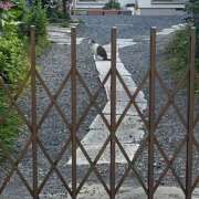 ヒメ日記 2026/07/01 22:40 投稿 ゆず ドリーム水戸