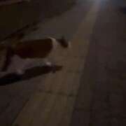 ヒメ日記 2026/07/14 21:20 投稿 ゆず ドリーム水戸