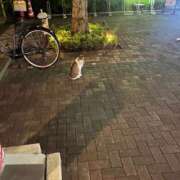 ヒメ日記 2026/08/28 10:26 投稿 ゆず ドリーム水戸