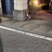 ヒメ日記 2026/08/28 22:16 投稿 ゆず ドリーム水戸