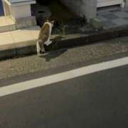 ヒメ日記 2026/09/03 10:46 投稿 ゆず ドリーム水戸