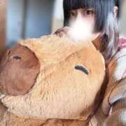 ヒメ日記 2025/12/09 15:22 投稿 こはく デザインプリズム新宿