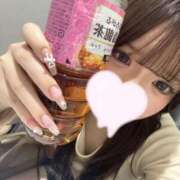 ヒメ日記 2025/11/26 05:16 投稿 ラム エピソード(品川)