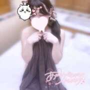 ヒメ日記 2025/11/26 05:31 投稿 ラム エピソード(品川)